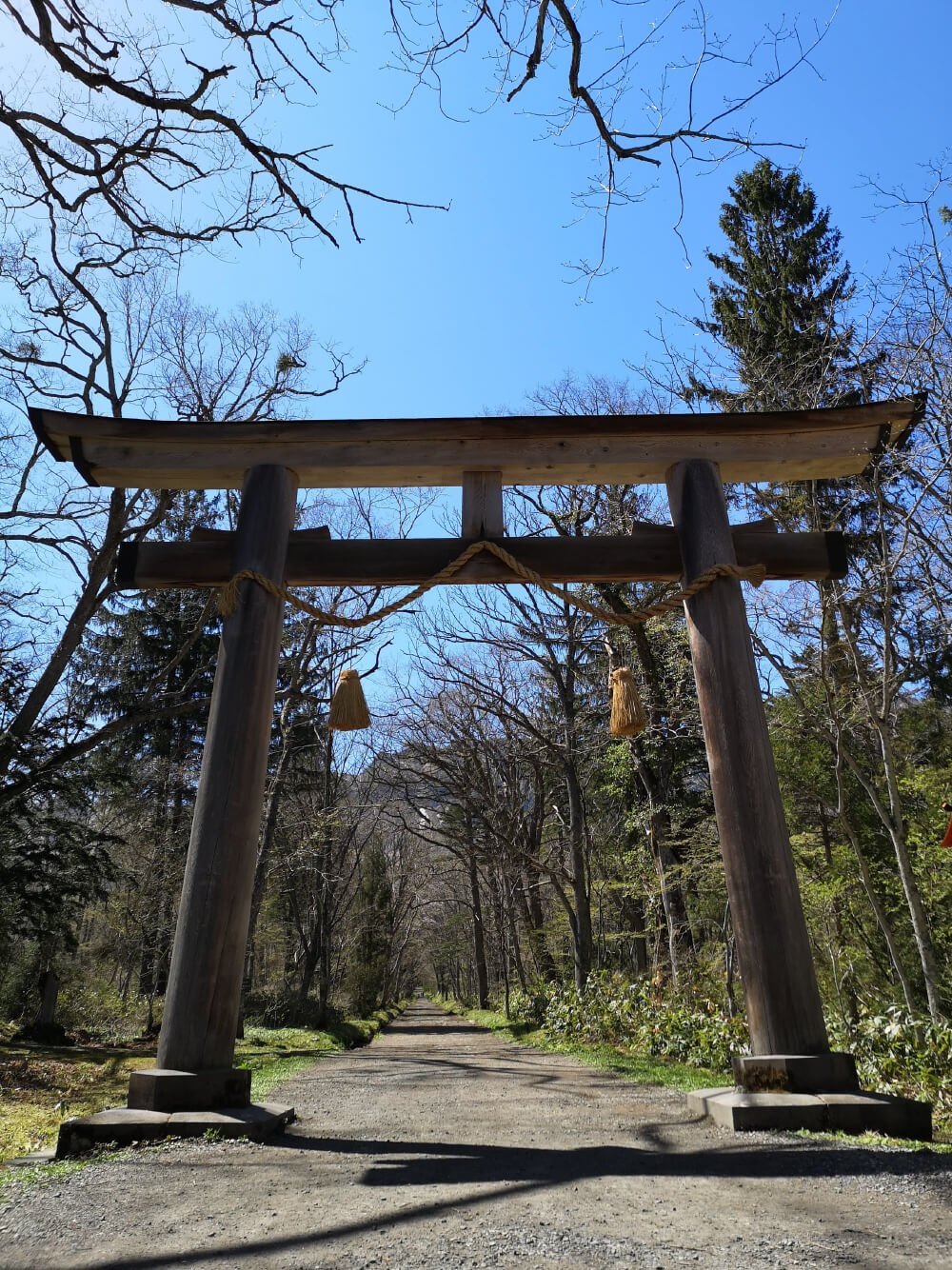 A wooden torii gate marking the entrance to the approach walk toward Okusha