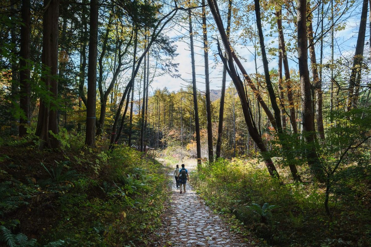 A couple walking a cobblestone forest trail on the way down to Yabuhara-juku